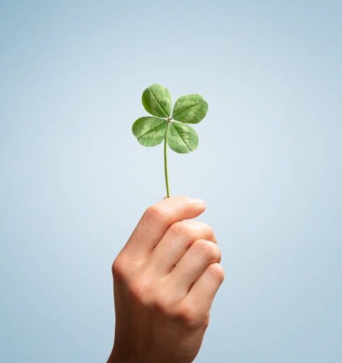 대운 해석의 진실 관련 사진