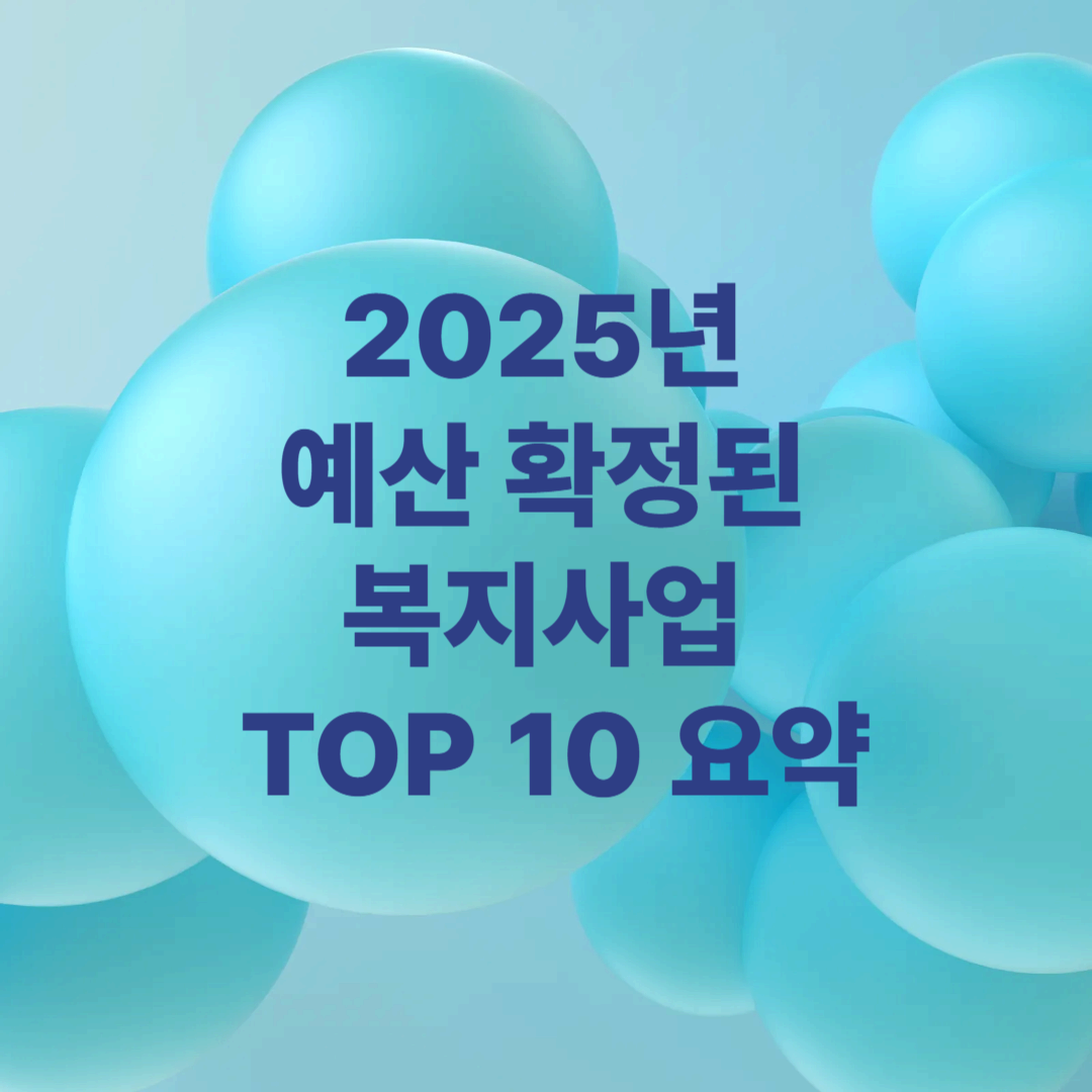 2025년 예산 확정된 복지사업 TOP 10 요약