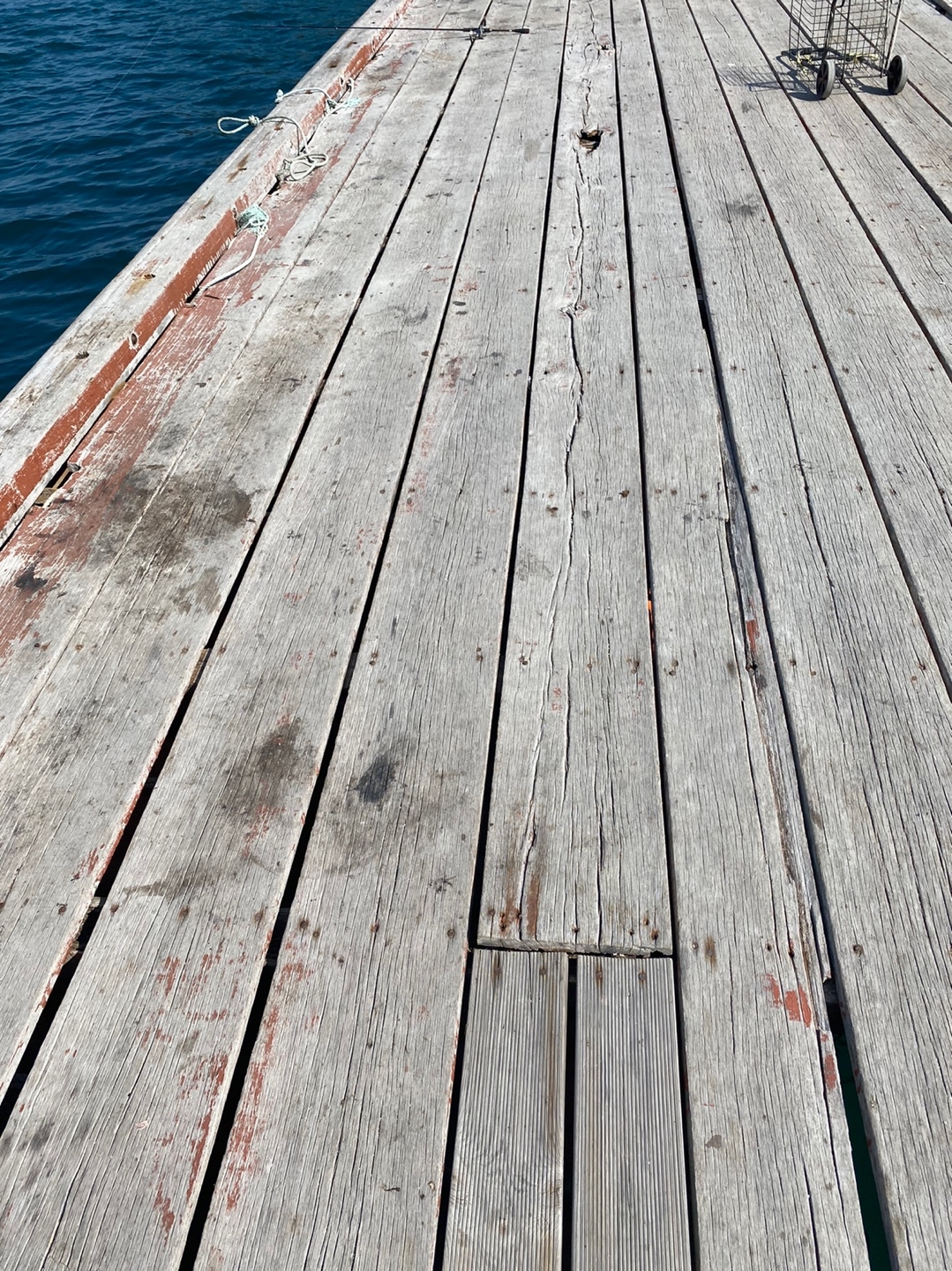 사량도 갑오징어 포인트