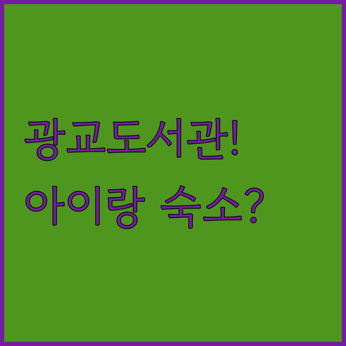 수원 광교도서관 주말 나들이 정보와 ..