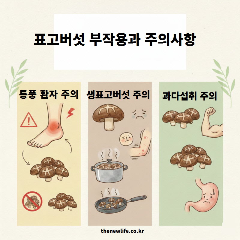 표고버섯 효능 섭취 시 통풍 알레르기 부작용 및 주의사항