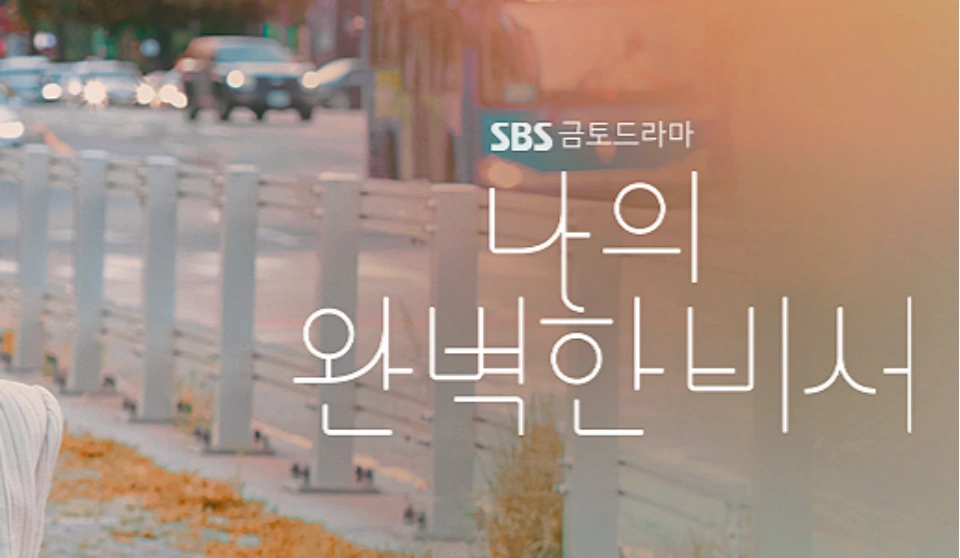 나의-완벽한-비서-다시보기-ott