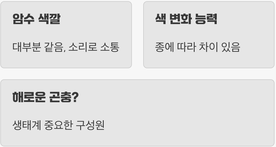 메뚜기의 놀라운 위장술, 초록색과 갈색 몸의 비밀 (보호색)