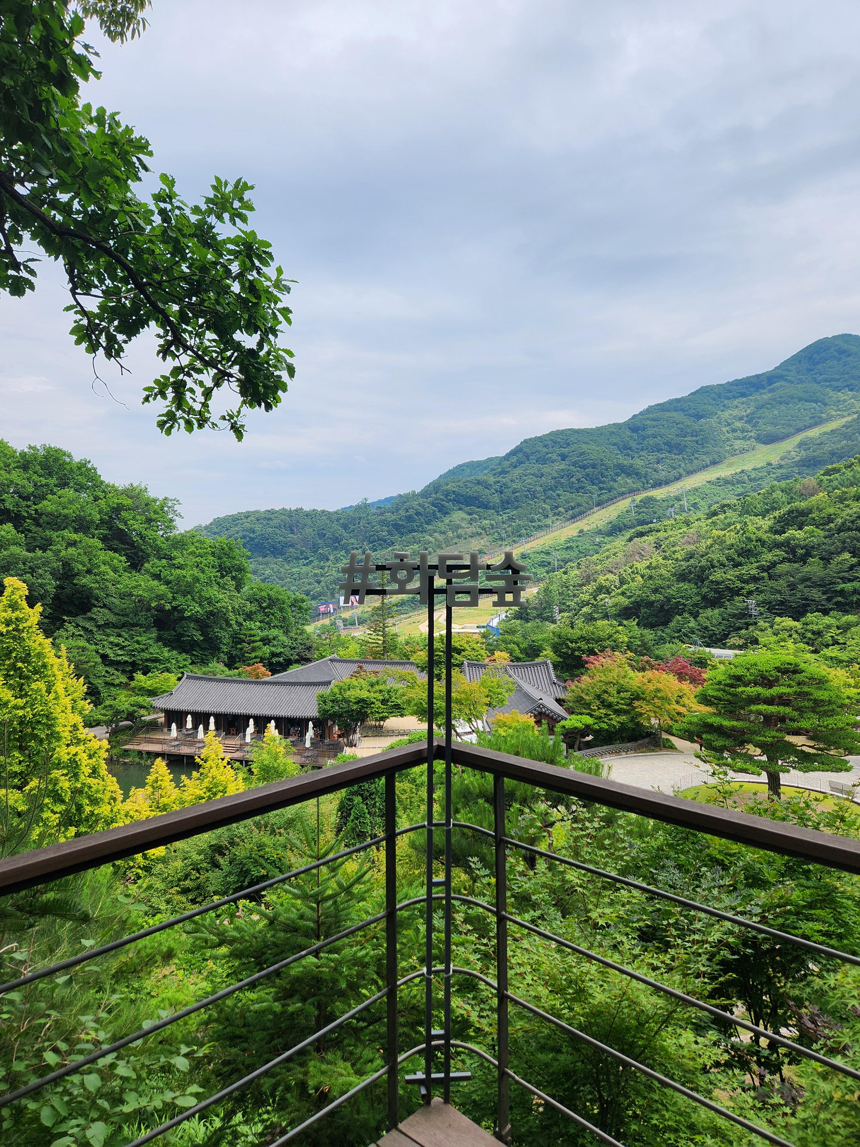 푸른 하늘-초록빛 산-데크에서 바라보는 숲 전경