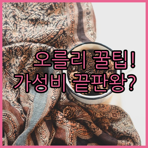 파리 외곽 오를리 근처 숙소 가성비 ..