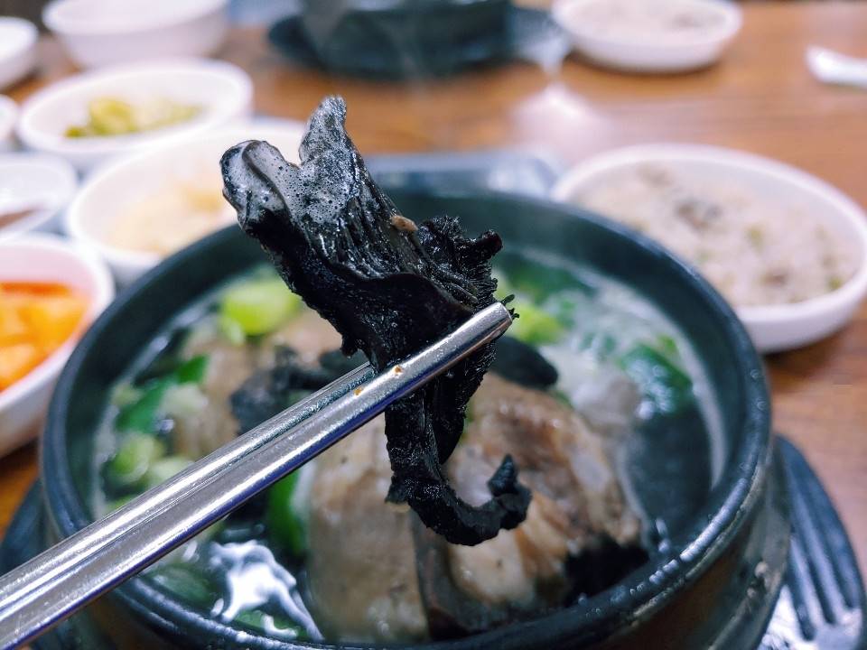 능이버섯