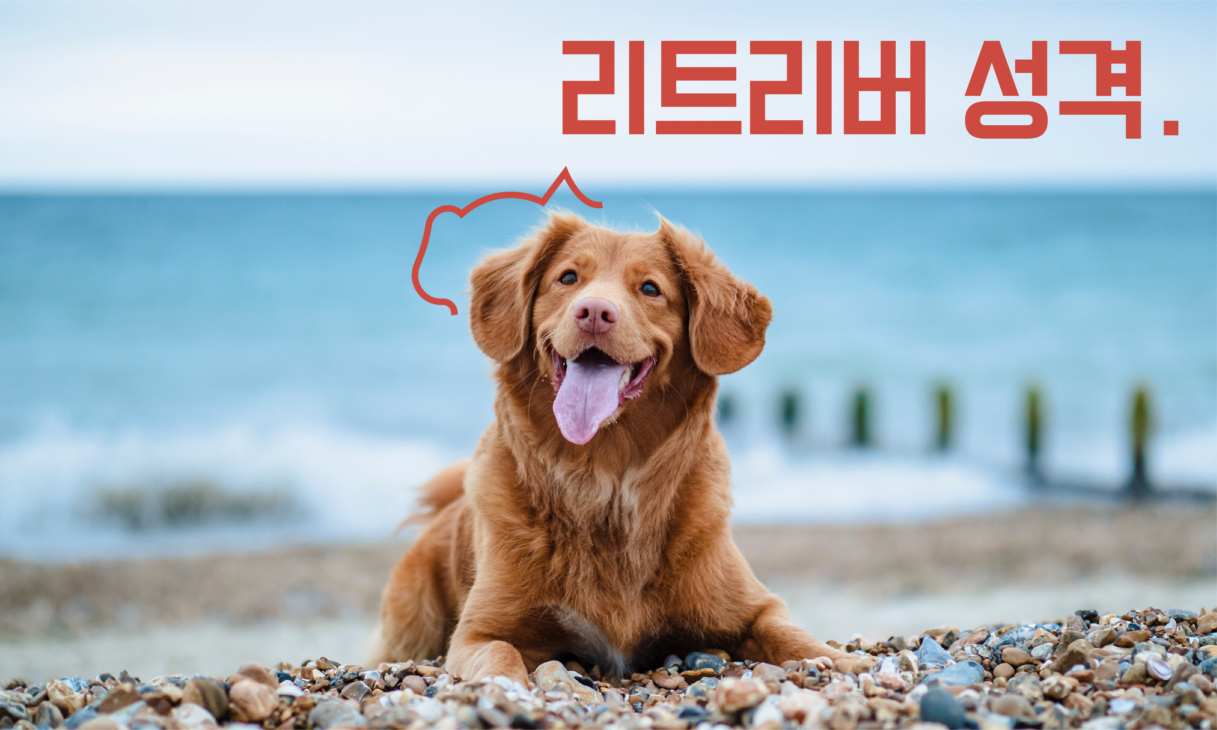 리트리버-성격