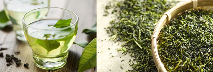 L-테아닌 무엇인가요?