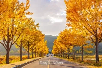 가을 경주 여행 가볼만한곳 베스트 10으로 정리_46