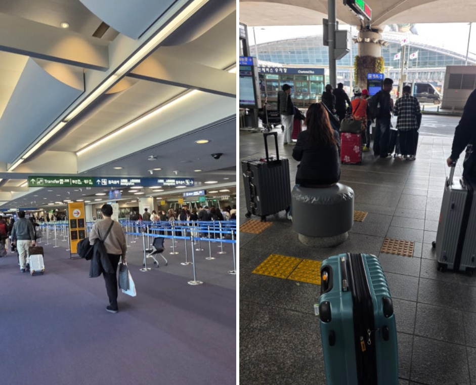 프랑크푸르트 공항→인천 공항 / 수속부터 비행, 그리고 귀국까지.