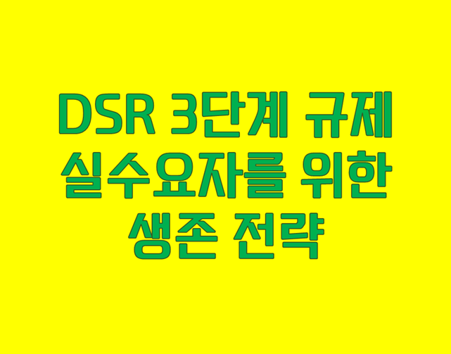 DSR 3단계 규제