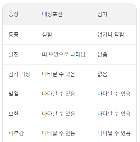 대상포진 초기증상