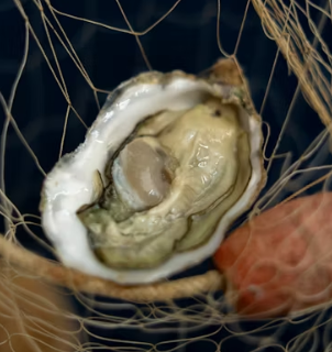 굴 효능 부작용 칼로리