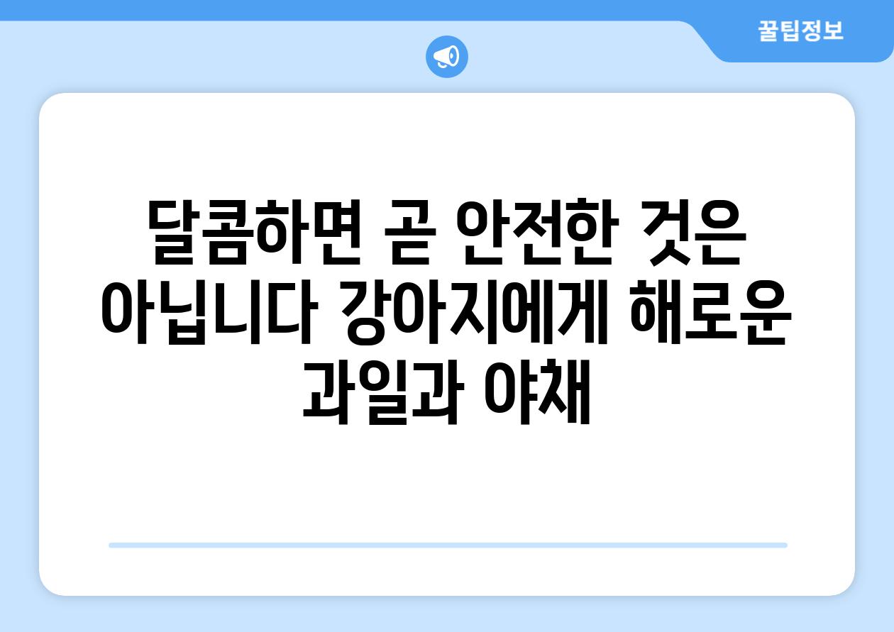 달콤하면 곧 안전한 것은 아닙니다 강아지에게 해로운 과일과 야채
