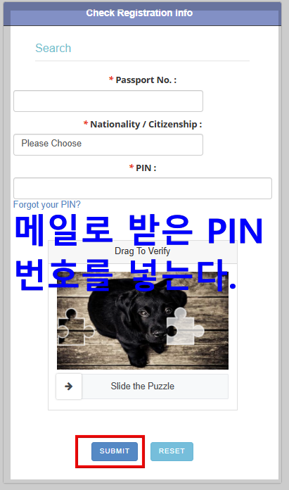 여권 번호, 국가/시민권 그리고 핀번호를 입력하거 SUBMIT 버튼을 누른다.