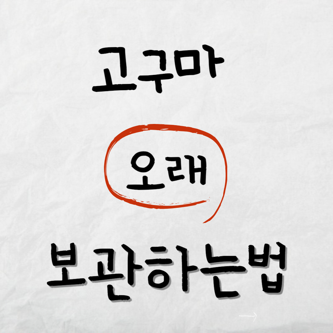 고구마오래보관하는법