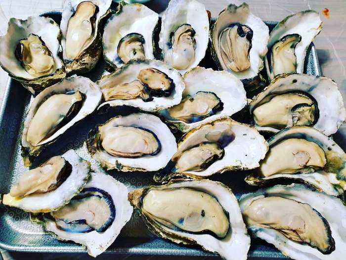 생방송투데이 구례 벚굴 벚굴찜 벚굴구이 맛집