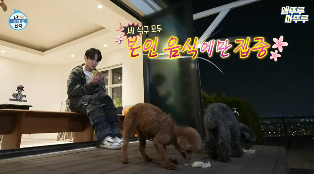 새집 홈파티 수제버거 시식