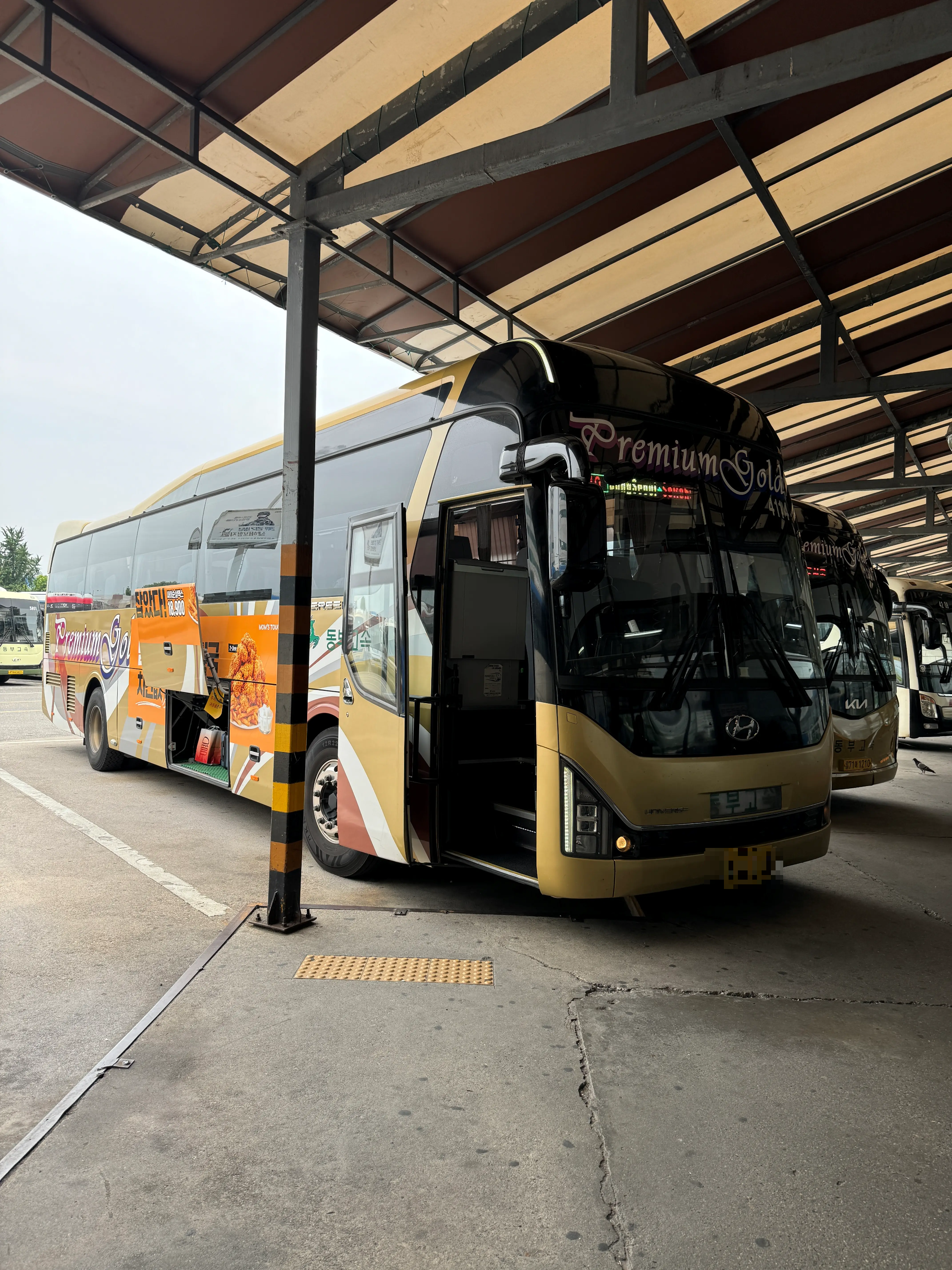 동서울-양양-프리미엄-고속버스-버스전경