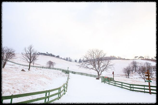 국내 겨울 설경 여행지 Best 10: 눈 덮인 명소와 일출&middot;일몰 스팟