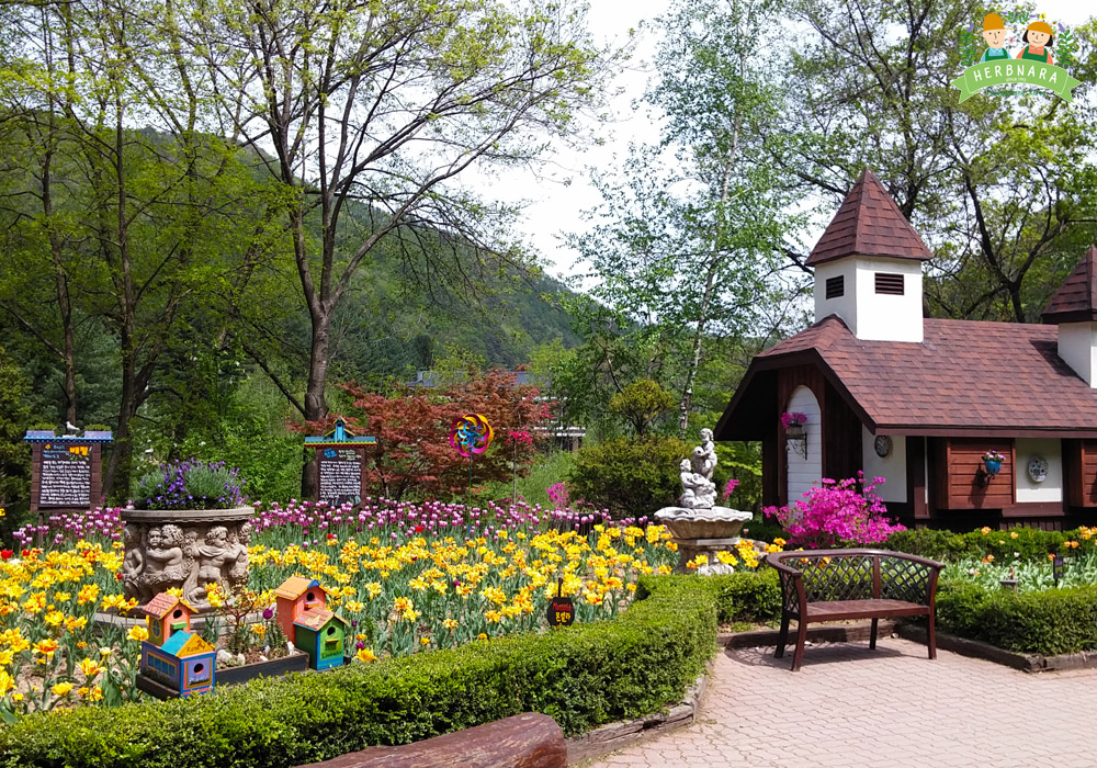 허브나라농원 &ndash; 향기로운 허브 체험