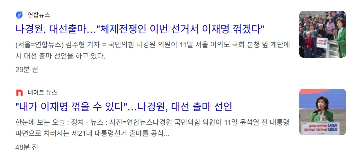 나경원 대선 출마