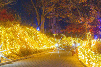 충남 겨울 명소 추천, 연말 분위기 가득한 빛·바다·성당 명소 4곳