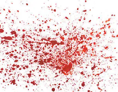 전립선암 초기증상 24