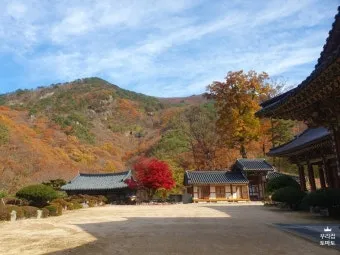 양산 가볼만한곳 추천 맛집 카페 여름 BEST 10_10