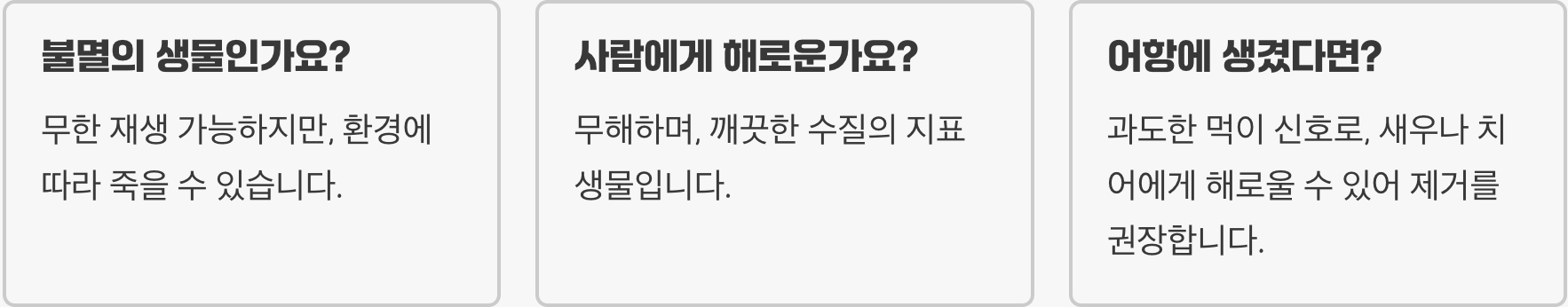 플라나리아 생태와 특징 총정리, 재생 능력이 뛰어난 신비한 무척추동물