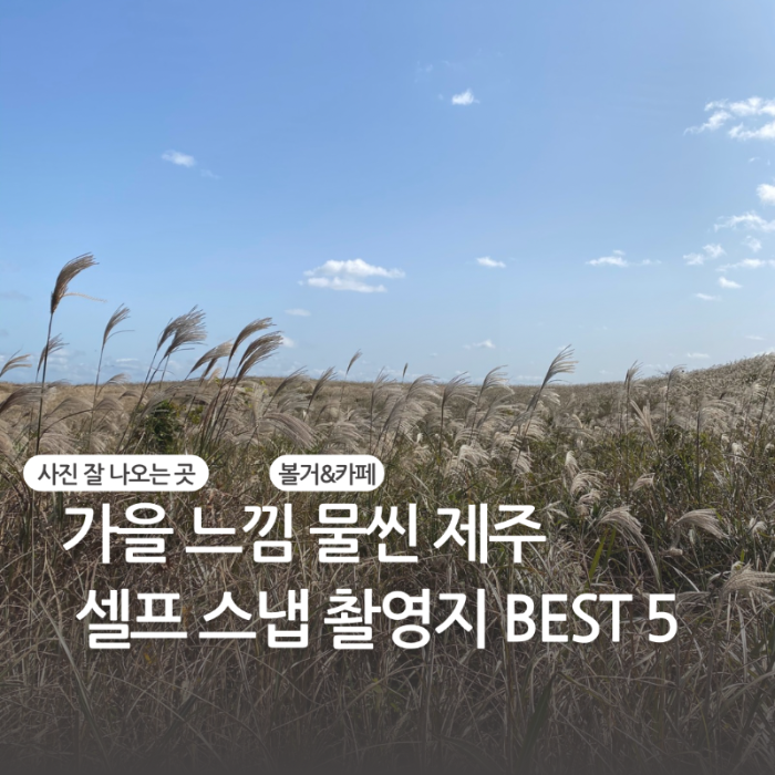 가을 느낌 물씬 제주 셀프스냅 촬영지 BEST5