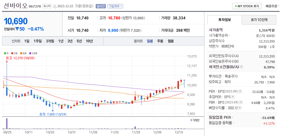 선바이오 일봉차트