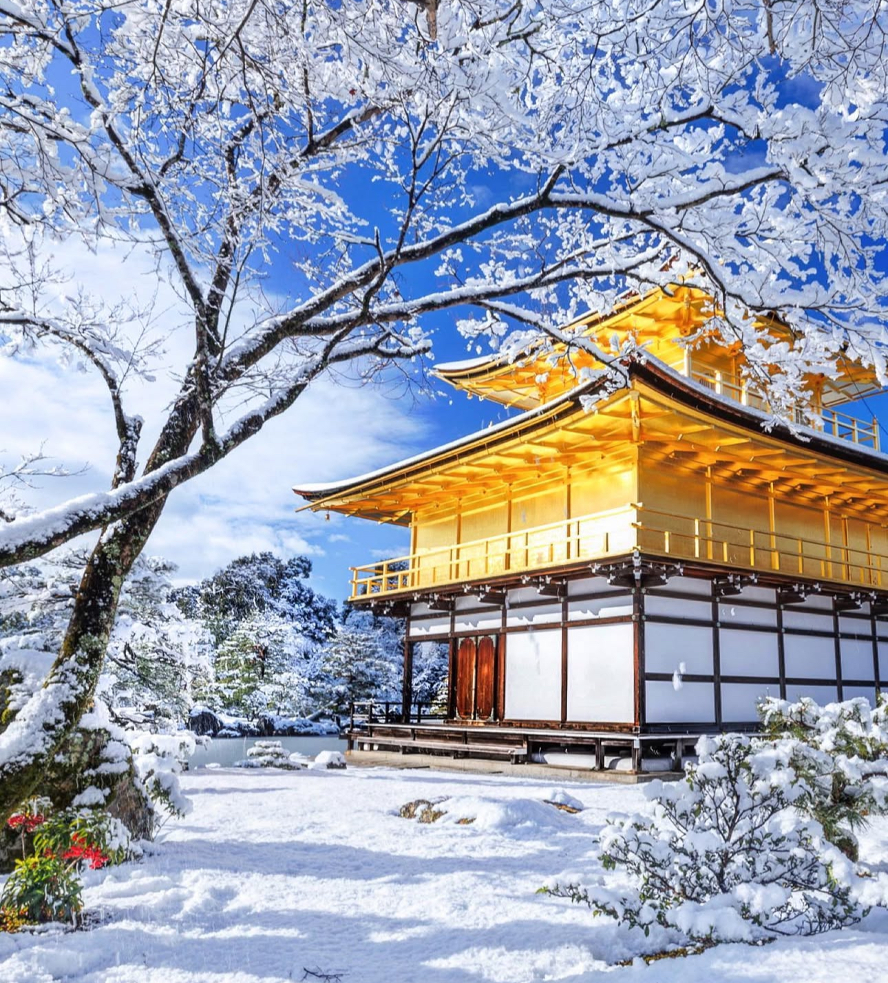 일본 교토 여행코스 05