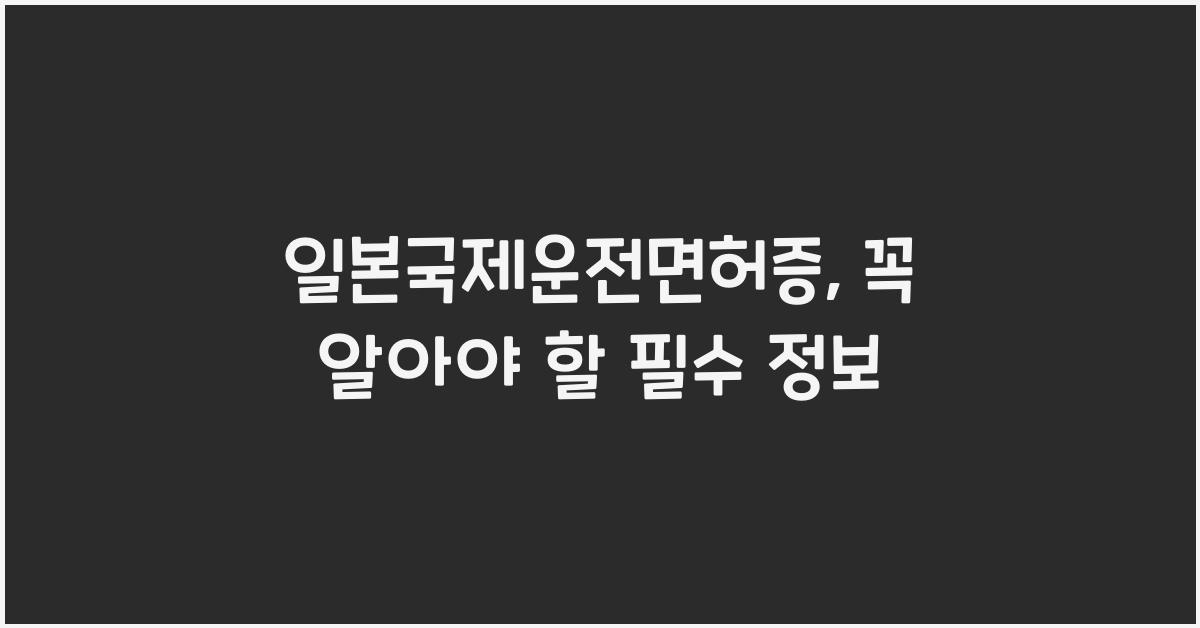 일본국제운전면허증
