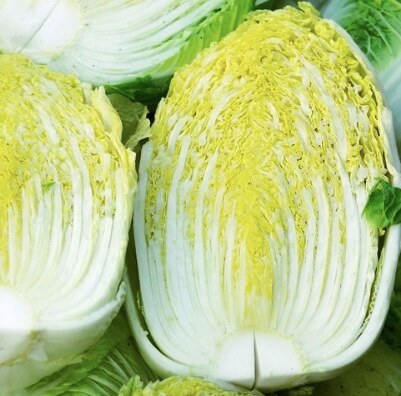 절임배추-20kg-저렴하게구매하기-해남배추-대관령배추-괴산배추