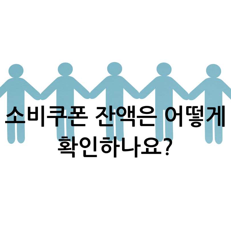 민생회복 소비쿠폰 사용처