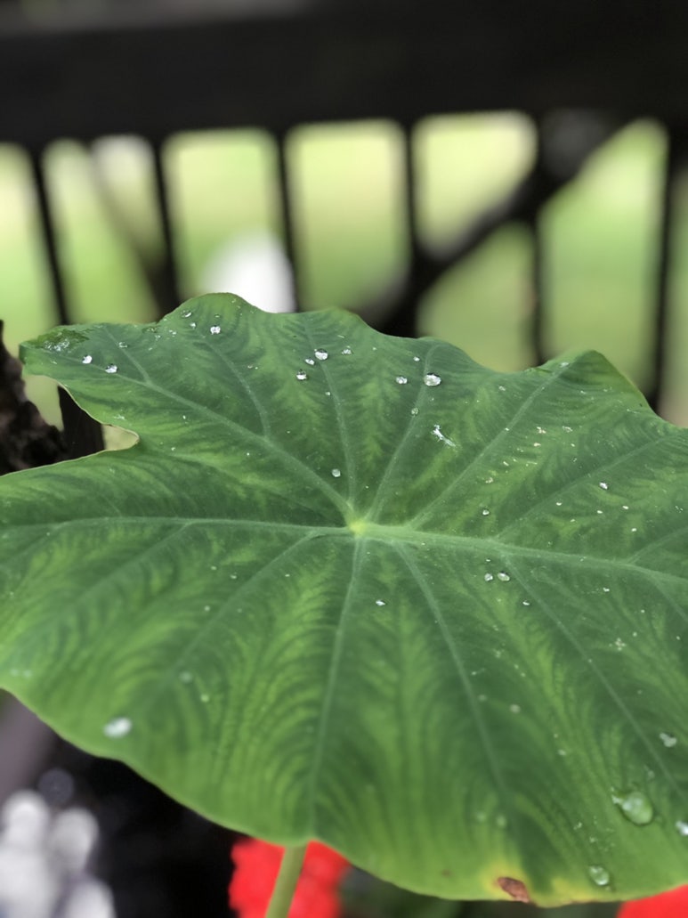 비 온 뒤 48시간 골든타임 체크리스트