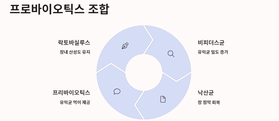 낙산균 효능, 유산균 차이, 프로바이오틱스 조합 총정리