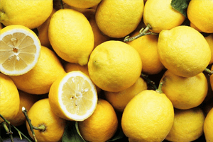 레몬 효능08