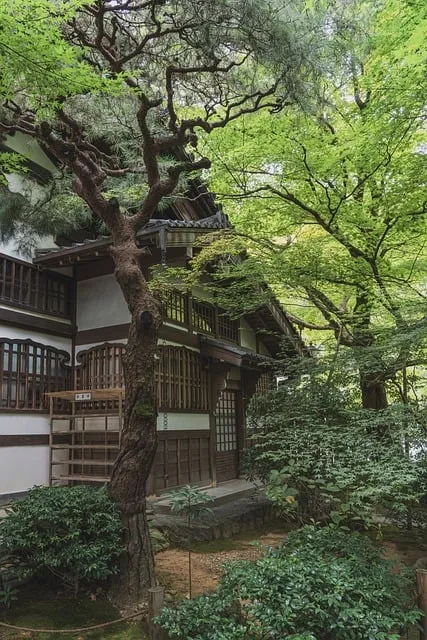 제주도 괸당문화란 유래 역사_9