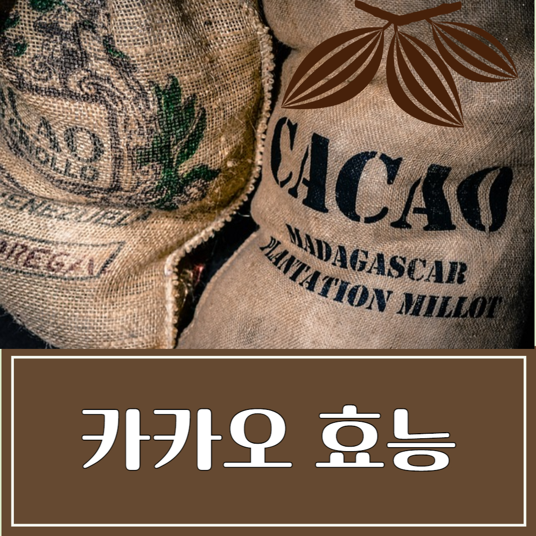 카카오닙스 효능 및 부작용