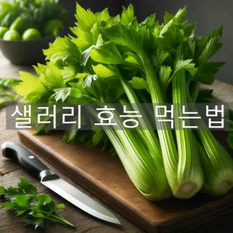 샐러리 효능 알고 먹는법 잎 생으로 손질법 요리_12