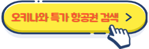 오키나와 항공권