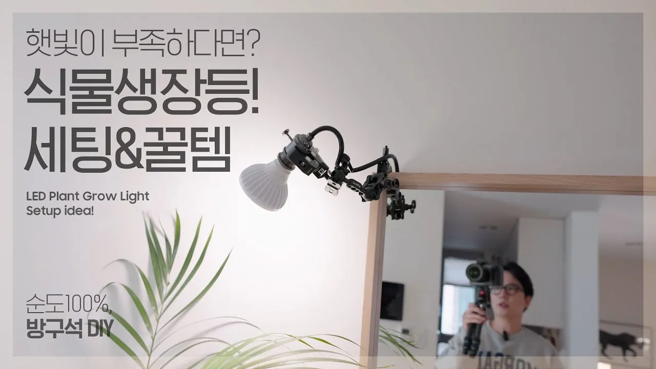 식물등 설치 위치높이 시간대설정 광량부족 해결 겨울철 성장 돕기_3