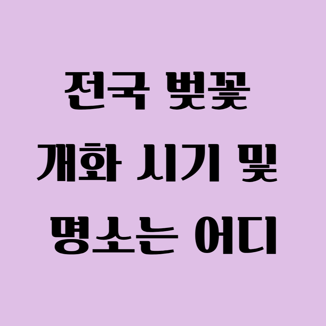 2025 지역별 벚꽃 만개시기와 축제, 전국 명당 자리와 여행 팁