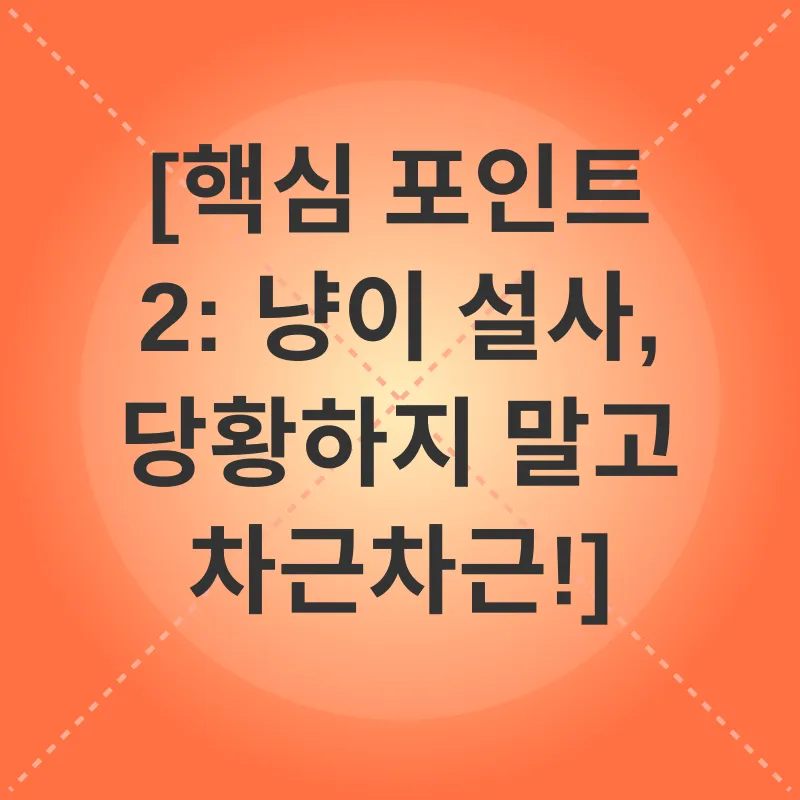 고양이 건강 관리_2