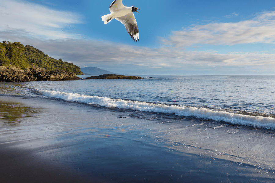 캠핑과 드라이브가 어우러진 남해안 여행 코스