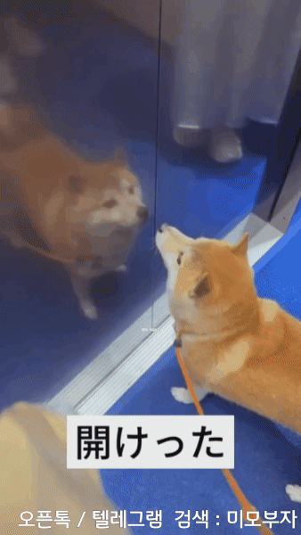 10월 19일 신문스크랩