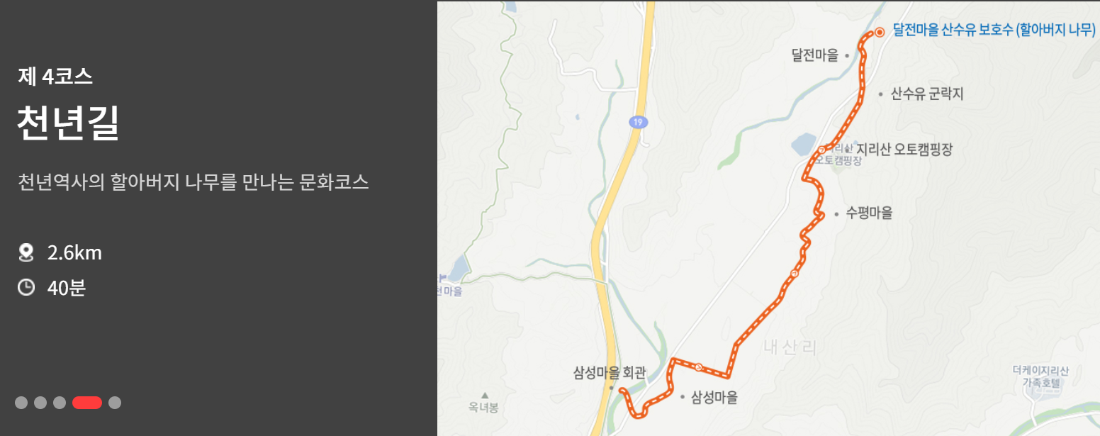 구례 산수유축제