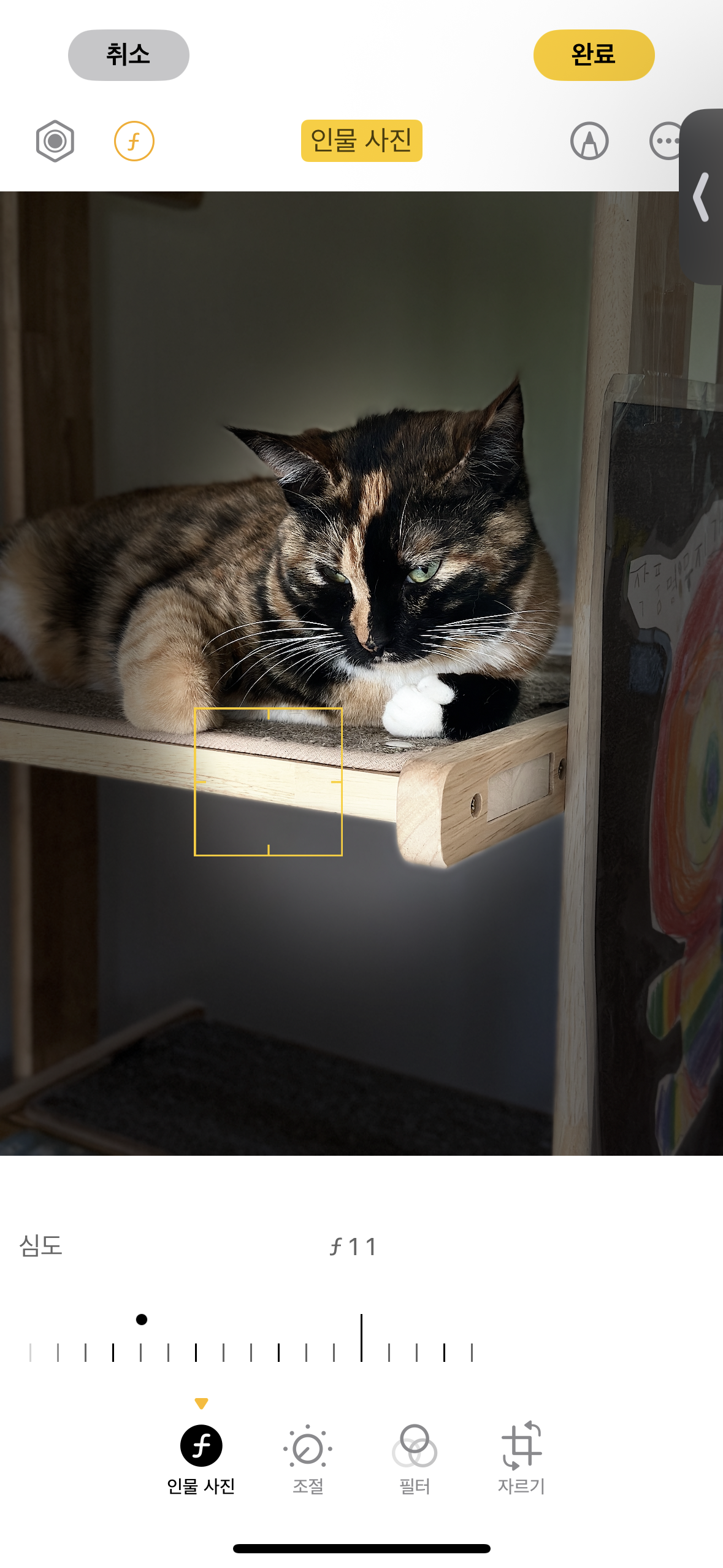 아이폰 카메라 인물 사진 무대 조명